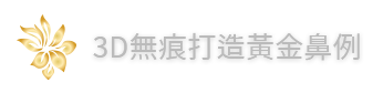 3D無痕打造黃金鼻例