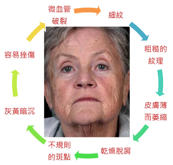 惱人痘疤說分明 Image