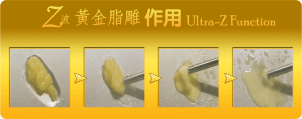 脂肪雕塑術分析 Lipo-Sculpture Analusis
